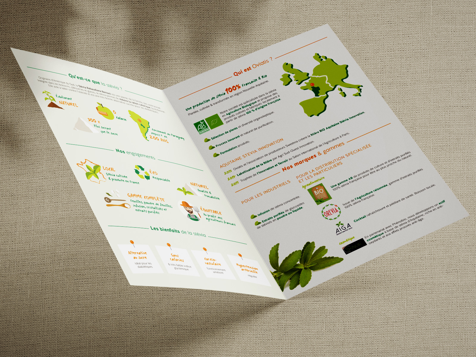 Infographie sur la stevia bio